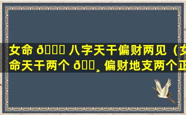 女命 🐟 八字天干偏财两见（女命天干两个 🕸 偏财地支两个正财）